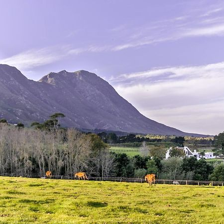 Hemel 'N Aarde Stud Otel Hermanus Dış mekan fotoğraf