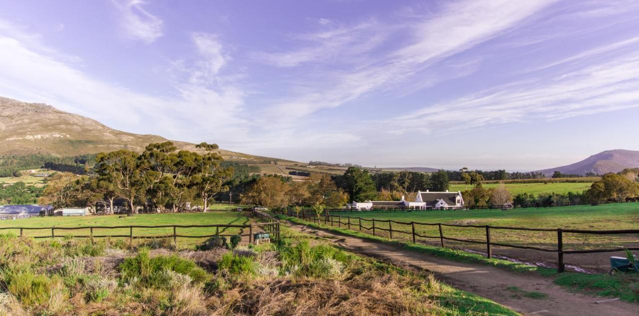 Hemel 'N Aarde Stud Otel Hermanus Dış mekan fotoğraf