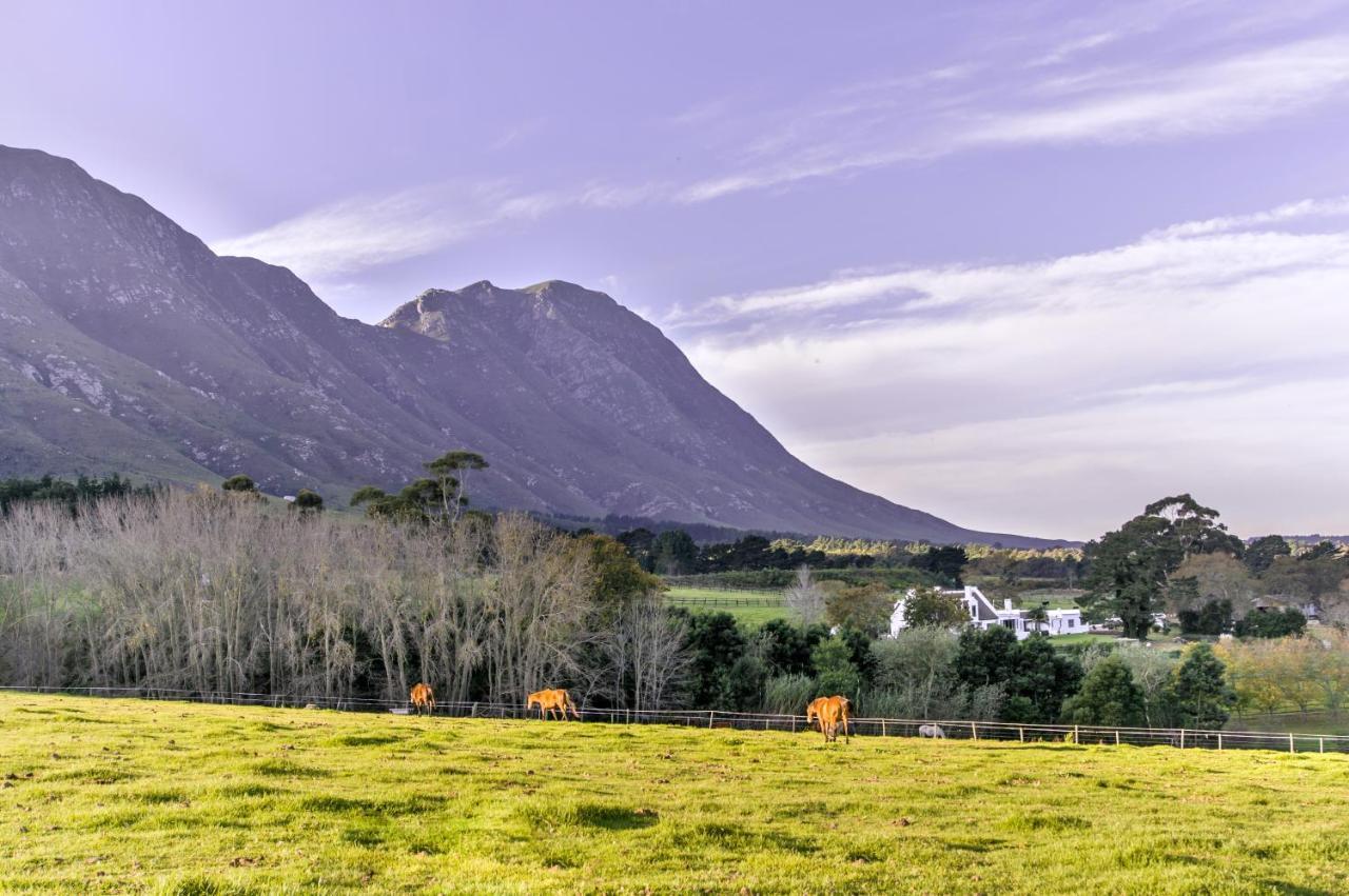 Hemel 'N Aarde Stud Otel Hermanus Dış mekan fotoğraf